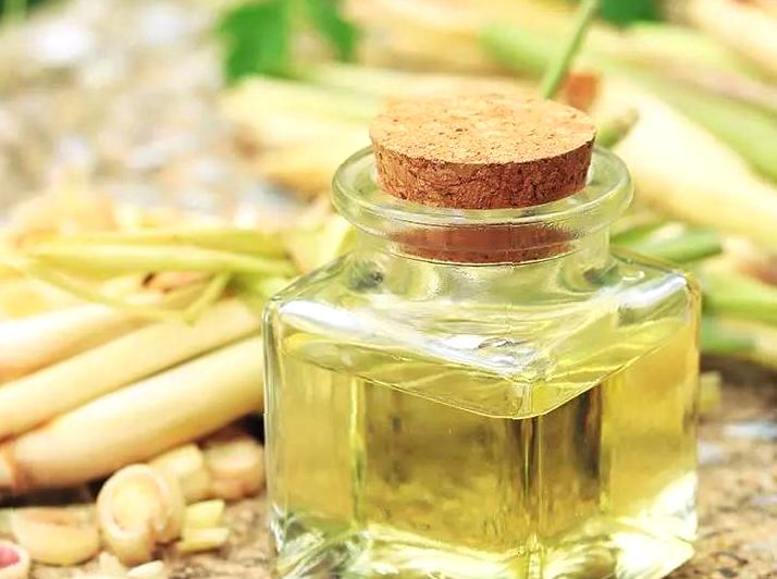 Insights into Lemongrass Oil and Its Applications